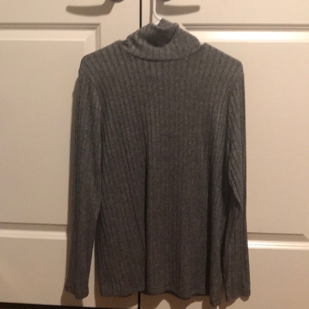 A long sleeve turtleneck